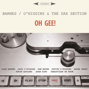 Oh Gee! (feat. Sam Mayne, Judith O'higgins, Karen Sharp, Robin Aspland, Adam King & Sebastiaan De Krom)