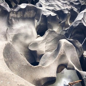 O Mímico Com a Palavra de Deus