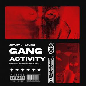 Gang Activity (feat. Afusic & superdupersultan) [Explicit]