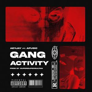 Gang Activity (feat. Afusic & superdupersultan) (Explicit)
