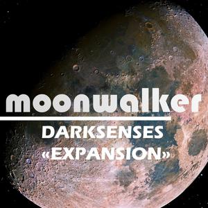 Expansion - Single