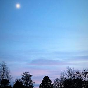 Forever Rees (Explicit)