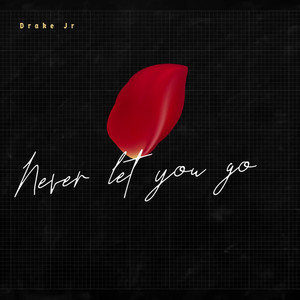 Never Let You Go