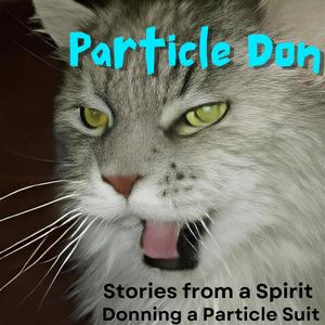 Stories from a Spirit Donning a Particle Suit