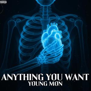 Anything You Want (Explicit)
