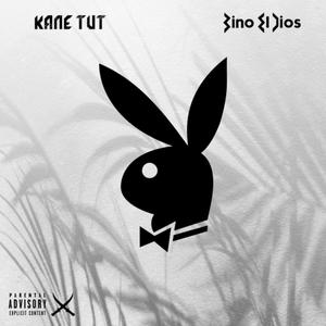 Playboy (feat. Bino el Dios) [Explicit]