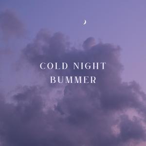 Cold Night Bummer (feat. prod. peril)