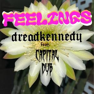 Feelings (feat. Capital Dub)