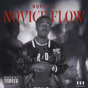 Novice Flow (Explicit)