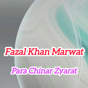 Para Chinar Zyarat