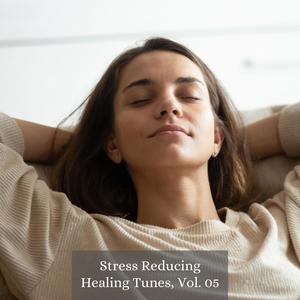 Stress Reducing Healing Tunes, Vol. 05