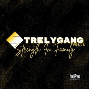 Strelygang, Vol. 1 (Strength In Family) [Explicit]