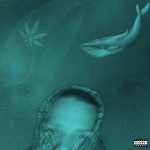 Whales (Explicit)