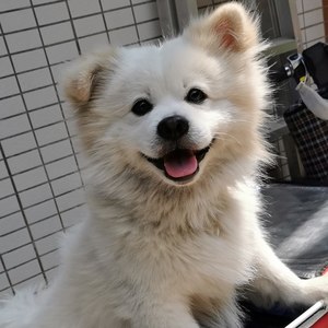 短暂的美好 (合奏版)