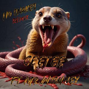 No Snakes Remix (feat. Mr.wishney) [Explicit]