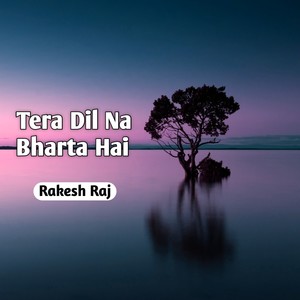Tera Dil Na Bharta Hai