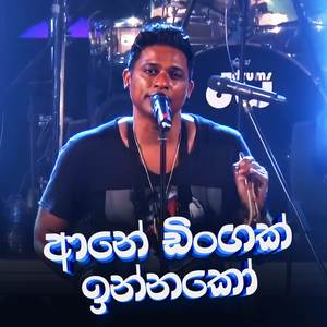 Ane Dingak Innako (Live)