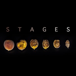 Stages (Explicit)