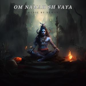 Om Namah Shivaya