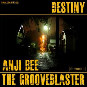 Destiny (feat. Anji Bee)