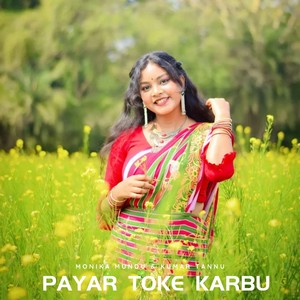 Payar Toke Karbu