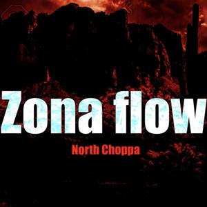 Zona Flow (Explicit)