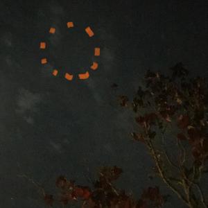 NEW MOON