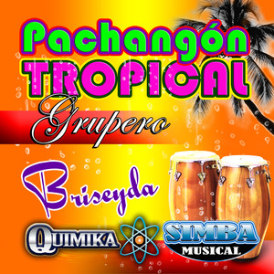 Pachangon Tropical Grupero