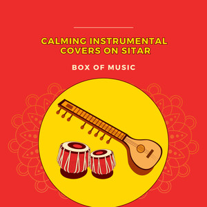 Calming Instrumental Covers on Sitar