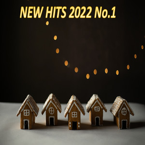 NEW HITS 2022 No.1