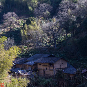 偏爱这种说唱没理由