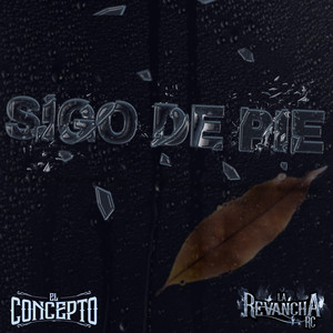 Sigo De Pie