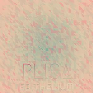 Plica Epithelium