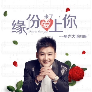 缘份来了爱上你