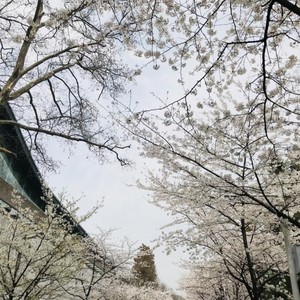 你在忧愁什么 (Demo)