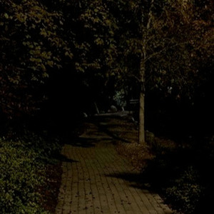 I Shouldn't Have Stayed