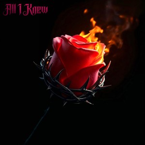 All I Knew