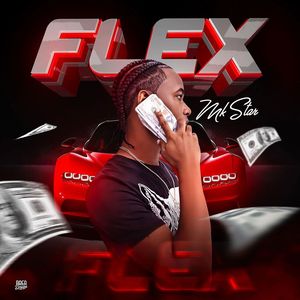 Flex (Explicit)