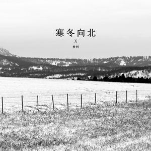 寒冬向北