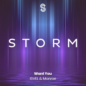 Want You (Extended Mix)