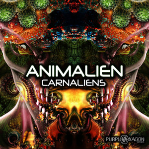 Fractal Dust (Original Mix)