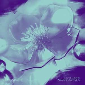 peaceful sunsets (Slowed & Reverb Version)