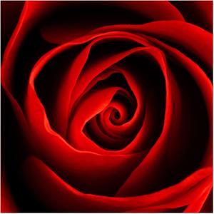 Mein Leben (Explicit)