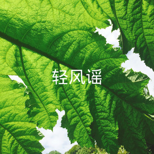 清明上河图 (DJ版)