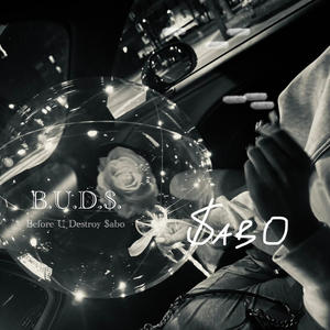 B.U.D.$ (Explicit)