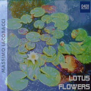 Lotus Flowers