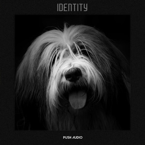 Identity