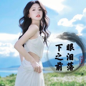 眼泪落下之前-汪苏龙