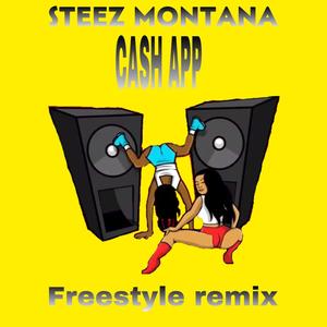 Steez Montana Cashapp Freestyle (Explicit)