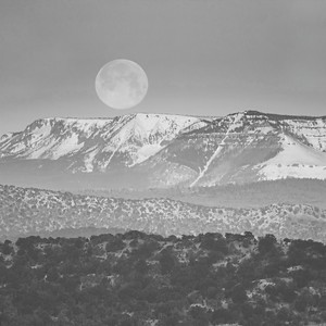 테라피로 아름다워지는 시간